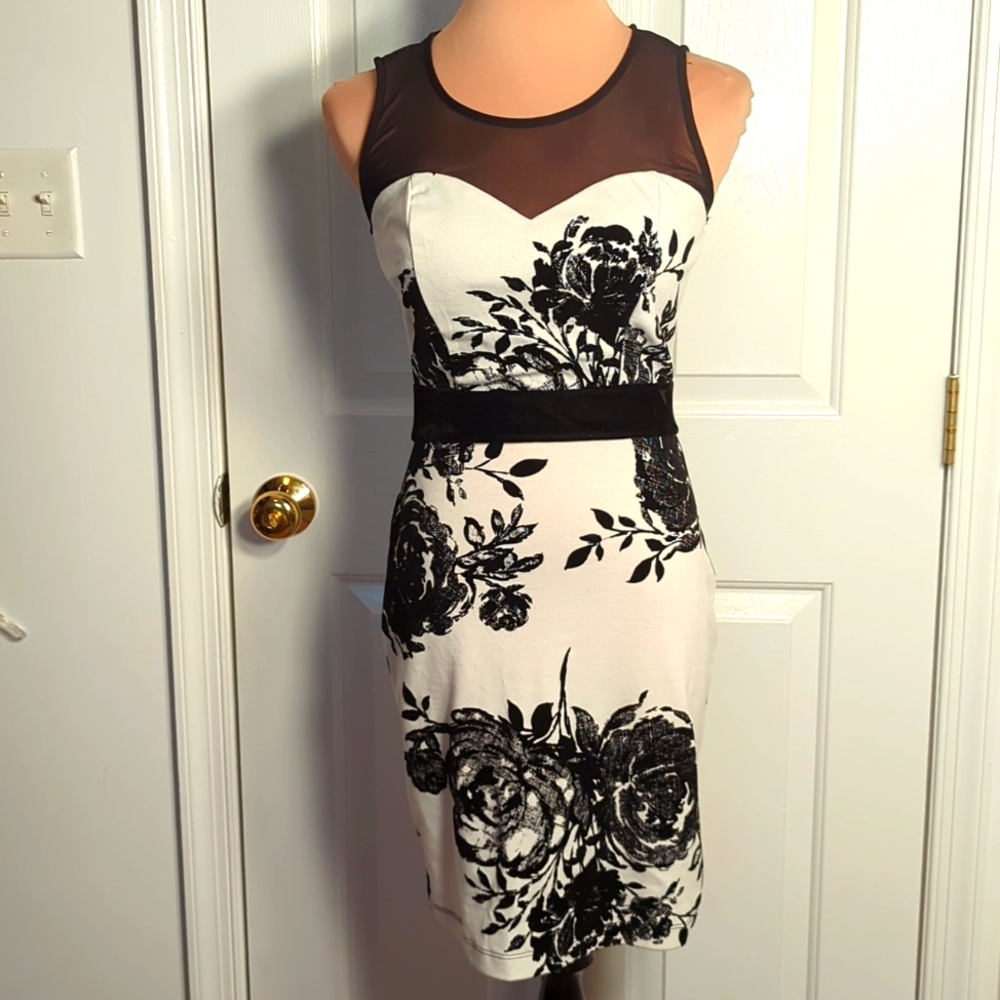 Baileyblue Dress NWT